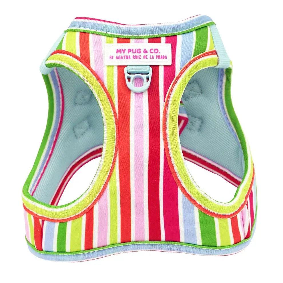 BODY AJUSTABLE ARCOIRIS