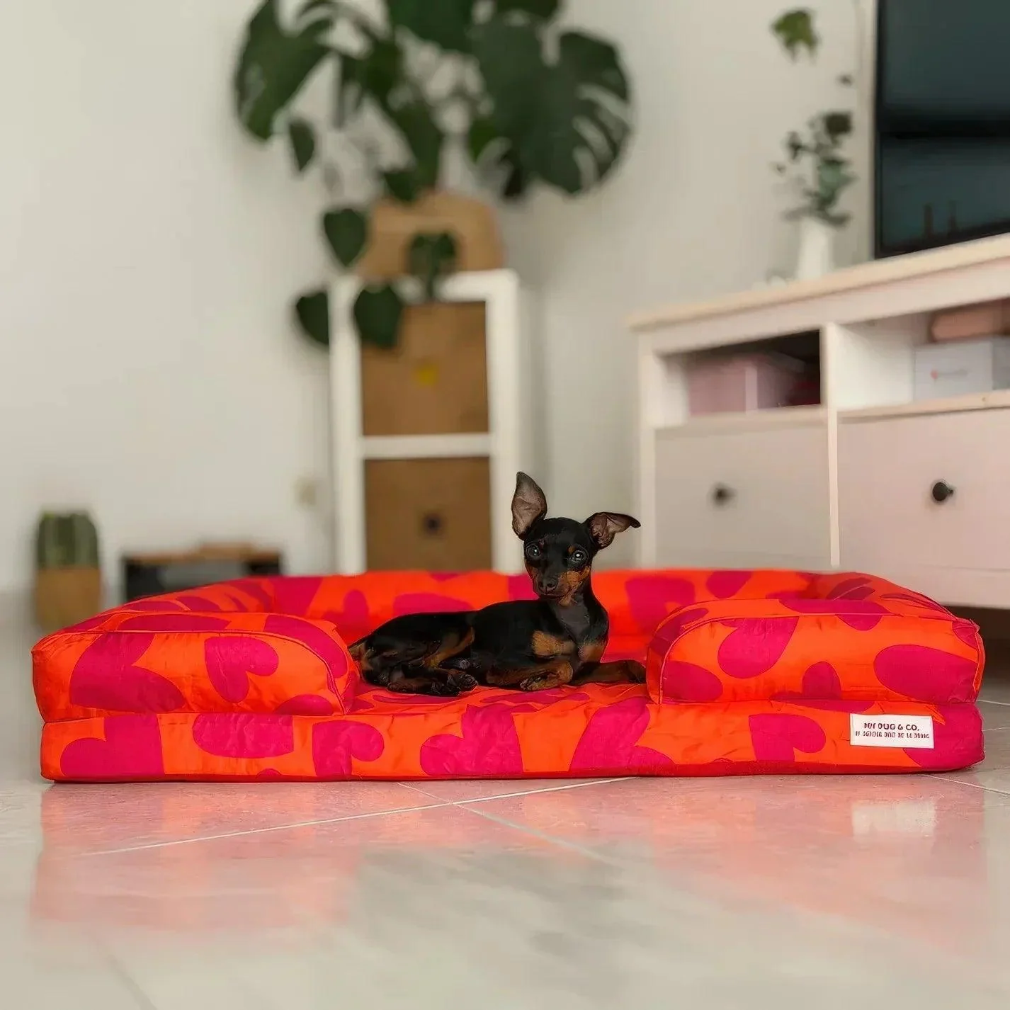Cama Corazones para mascotas - Image 4